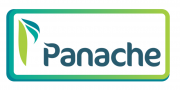 PANCHE